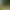 Ein Golfer steht auf einem Sandbunker und blickt in Richtung des von Bäumen umgebenen Greens.