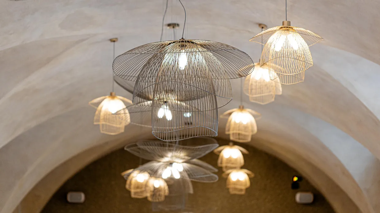 Suspension de luminaires en forme de cloche et d'insecte, éclairés, reflétés sur une surface métallique lisse