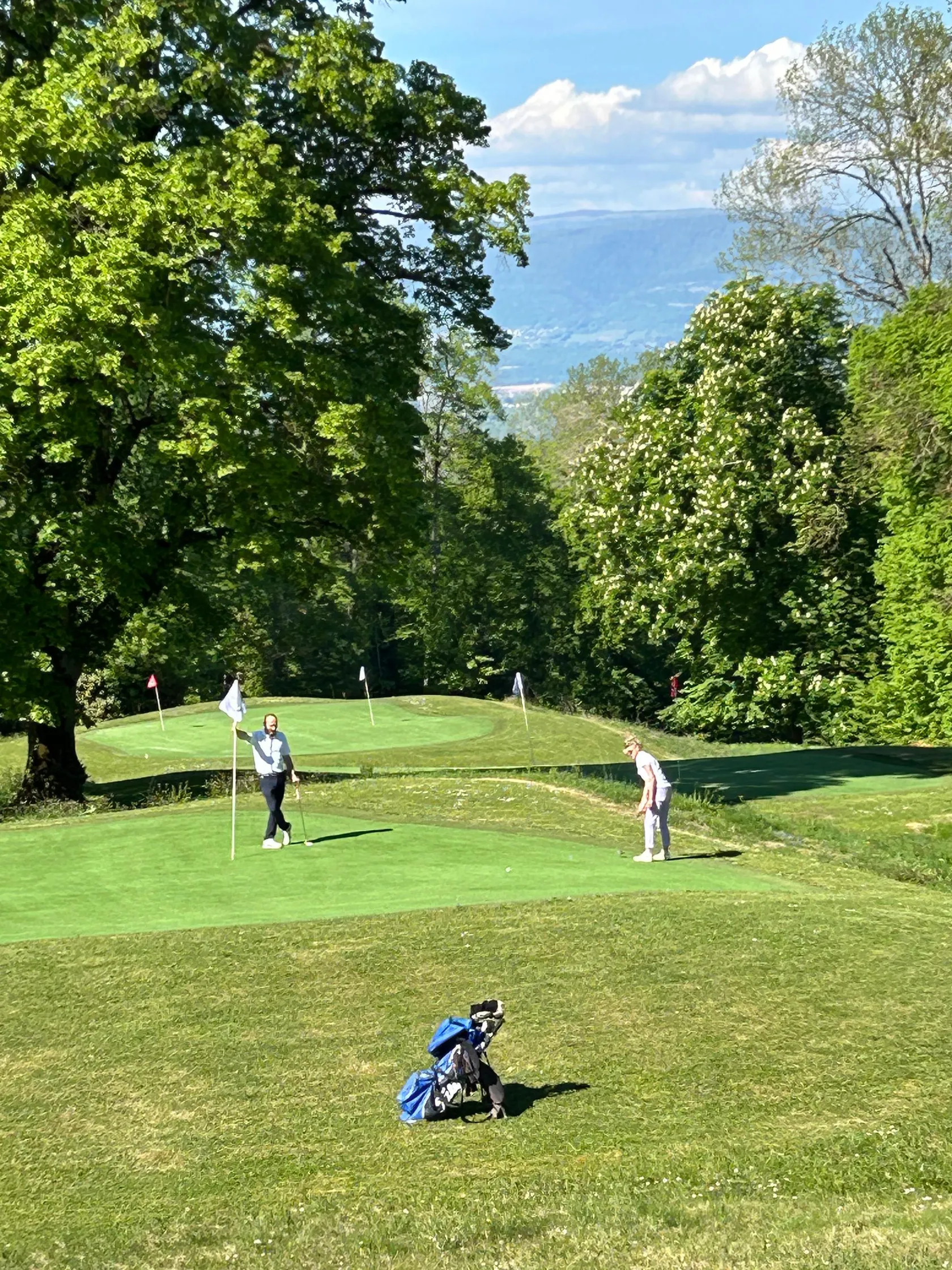 Quatre golfeurs jouent sur un green entouré d'arbres sous un ciel partiellement nuageux