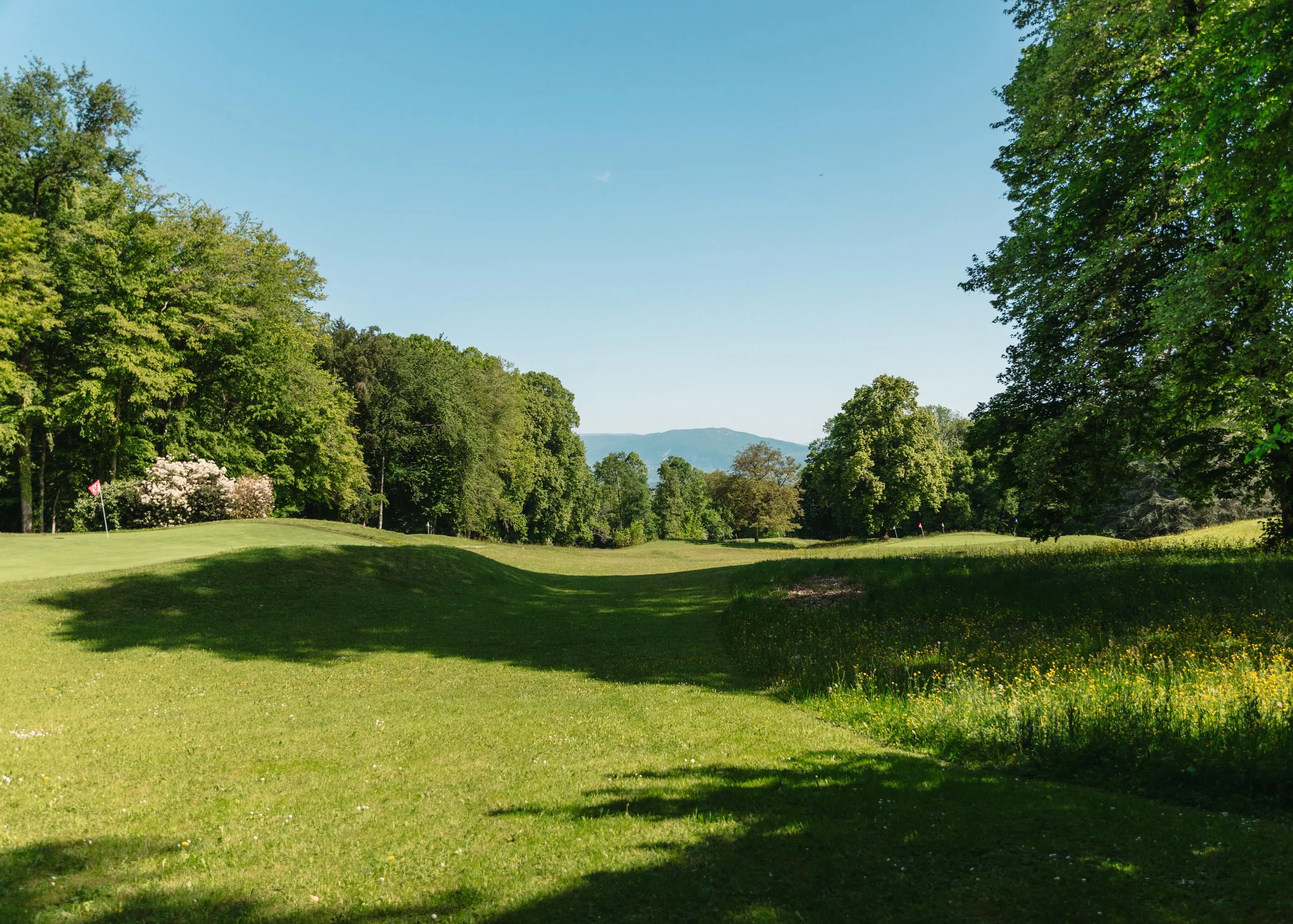 Un paysage de golf avec des collines verdoyantes, des arbres et des montagnes au loin sous un ciel bleu clair