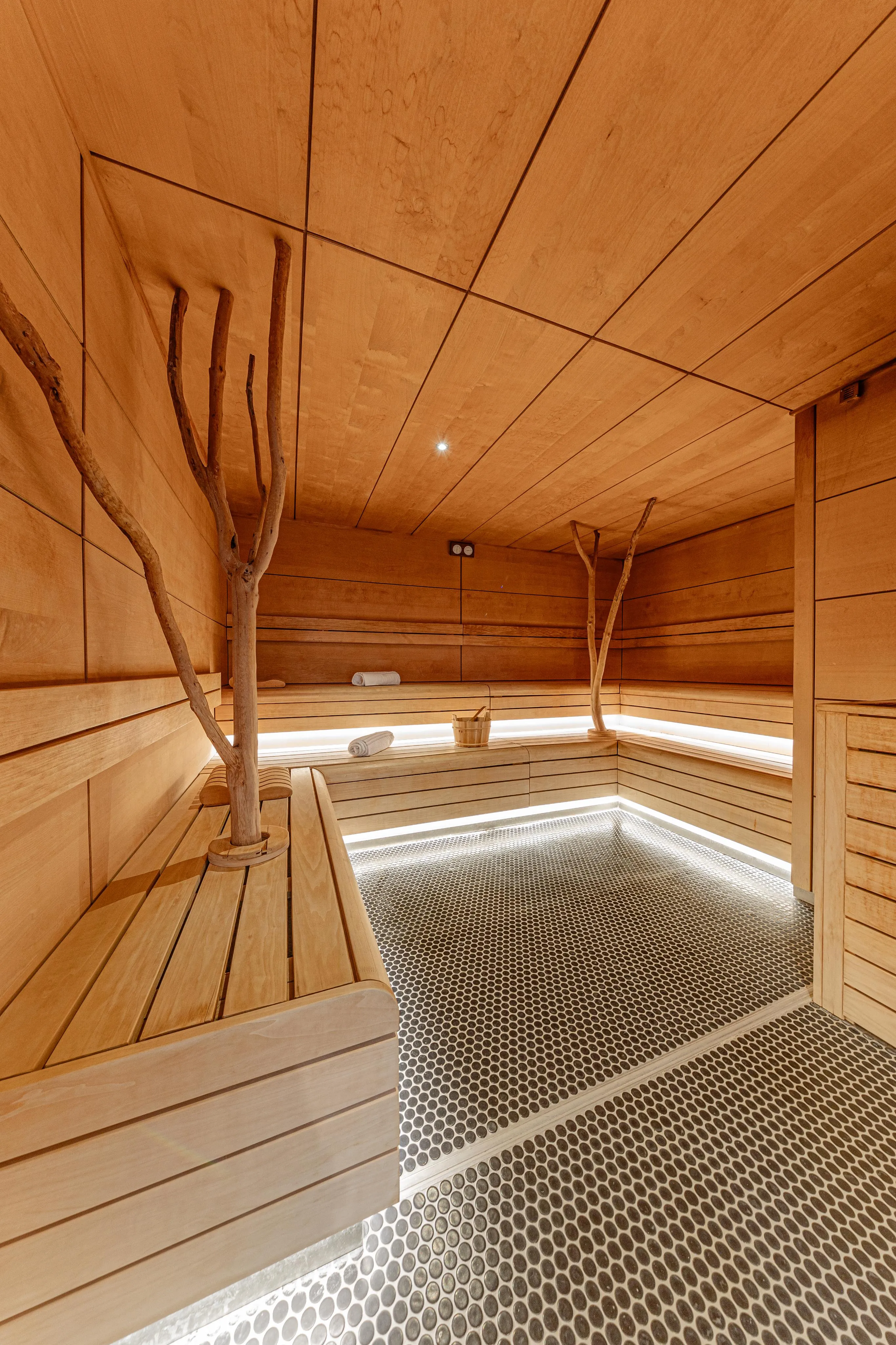 Salle en bois avec bancs, branches décoratives et sol en céramique hexagonale
