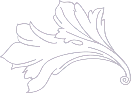 Dessin en ligne d'une feuille stylisée avec des courbes et des volutes